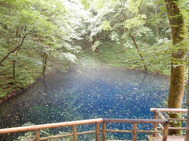 青森周遊（白神山地編）