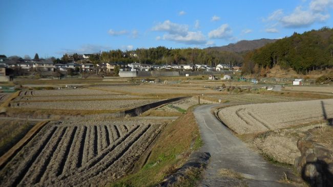 奈良盆地の東に連なる美しい青垣の山裾を縫うように、桜井から奈良に通じる古代の道があります。これが「日本書紀」にも記録がある「山の辺の道」です。道沿いには今でも多くの史跡や古墳があり、「記紀・万葉集」ゆかりの地名や伝説が残っている、まさに「古代ロマンの道」です。<br /><br /> 「山の辺の道」は、ほぼ中間点の石上神宮(いそのかみじんぐう 天理市)を境に、北と南に別れています。一般に「山の辺の道」は桜井から天理までの「南コース」を指し、見どころの多くはこの範囲に集中しているので、歩く人も圧倒的にこちらが多いです。一方「北コース」は見どころが点在していて、車道を歩くことも多いので「南コース」に比べやや人気薄のようです。<br /><br /> 万歩計は奈良に住んで35年余り、この間「山の辺の道」を70回近く歩いています。やはり「南コース」が多いですが、「北コース」も渋い魅力があります。70回中15回程度は南北全コースを通して歩いていますが、この場合35kmの長距離になり丸1日を要します。<br /><br /> 今回は6年ぶりに南北全コース踏破にチャレンジしました。この道は真夏を除き季節ごとに魅力がありますが、万歩計は柿や蜜柑が色づく秋と冬枯れのこの時期を好みます。4トラベルにも「山の辺の道」の旅行記が多数アップされていますが、ここでは地元の道案内のつもりで少し詳しく書きました。<br /><br /> 後半は石上神宮から近鉄奈良駅までの20.5kmです。<br /> お昼も食べたので、さぁ出発です!