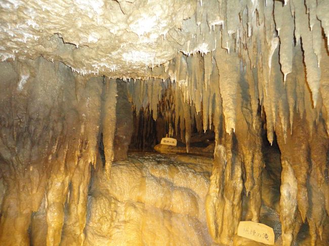 夫婦2人(30代、40代)+両親(60代)の4人で行く、大人の沖縄旅行です。<br />昨年の冬の沖縄は、天気に恵まれず、今回でリべンジ。<br />雲も出ましたが、爽やかな天候で、美味しいものを食べ、沢山観光し、最高に楽しい旅行となりました。<br /><br />1日目 知念岬公園<br /> 二ライ橋カナイ橋<br /> 沖縄ワールド<br /> 膳(夕食)<br /> 日航アリビラ泊<br /><br />2日目 東南植物楽園<br /> 真打田仲そば (昼食)<br /> 古宇利大橋、オーシャンタワー<br /> 許田インター<br /> シェラトン サンマリーナ (夕食)<br /> カフーリゾート フチャク泊<br /> <br />3日目 朝から出発