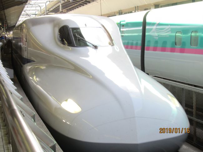 夫婦2人で利用 東京駅から新幹線とリゾート21で伊東で昼食をし、再度普通列車にて次の南伊東駅、降りてからは歩いてゆっくりと。伊東駅からの送迎バスがあるのでアクセスに問題はありません。 宿につながる坂道の奥には竹林があり、宿の門をくぐると純和風のたたずまいと沢を流れる水の音で癒されます! チェックインの際に抹茶と和菓子のおもてなしがありました。 部屋数も少なく純和風のゆったりとした間取りでくつろげます。 部屋風呂もゆったりとした作りです。 大浴場も内風呂、露天風呂もゆったりとしています。(部屋数も少なく宿泊客も限られているのがいいです<br />ね・・・)大浴場の出入り口にはヤクルト(夜)と(朝もありました)が確認はしていません。 また大浴場のほかに貸切露天風呂(小さいですが)もあり竹林を眺めながら癒されます!寒いので利用しませんでした。 お部屋のお風呂は、源泉かけ流しのところがいいですね! 各部屋ごとに食事処があり他の宿泊客を気にせずにいただけます。 食事の内容は懐石で季節の品々が上品に運ばれてきました。食器にもこだわりがあるようです。素敵でしたよ!全体的には純和風で手頃の客数の為、ゆったりとした時を過ごすことが出来ます! 特別な人と特別な時を過ごしたいときに最適な宿です!<br />夜はラーメンがふるまわれていて、ついつい夕食でお腹がいっぱいなのに立ち寄っていただきました。あさっりしたラーメンで美味しかったです。 作っていただいた初老の男性の方もとても感じがよくお話ししながらのんびりくつろぐことが出来ました。<br />