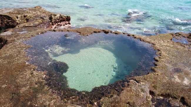 前々から行きたかった奄美大島。バニラのセールでお安く行けそうだったので、泳いだりシュノーケルするにはシーズンが外れてますが、行ってみました。