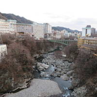 鬼怒川温泉のものぐさの宿「花千郷」に宿泊・温泉と食事を楽しむ