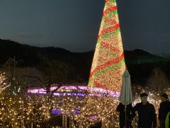 あしかがフラワーパーク「光の花の庭」