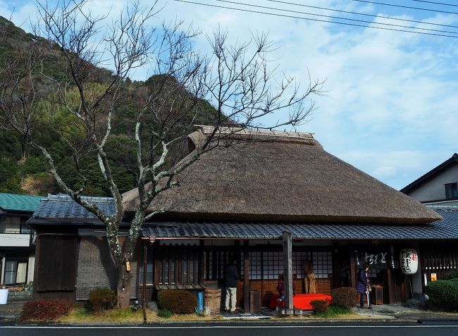 年始から遠州に長期出張。<br />ぼちぼち低山歩いてますが今週は山行く予定が天候優れず下界で散策。<br />以前遠州赴任していた時に行った宇津ノ谷峠と丁子屋に行ってきました。