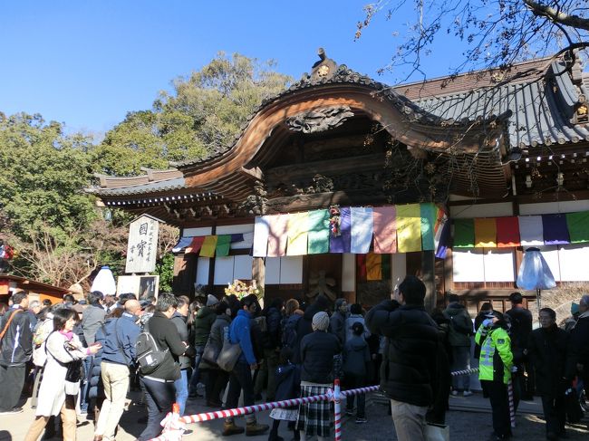 地元のスポットである、深大寺。2019年新年参賀に参りました。風情のある魅力のある一押しの場所です。