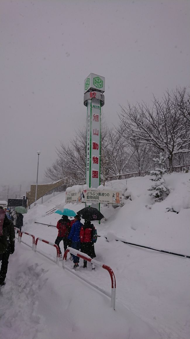 冬の北海道旅行二日目<br />この日は旭川に移動して旭山動物園に行きました。