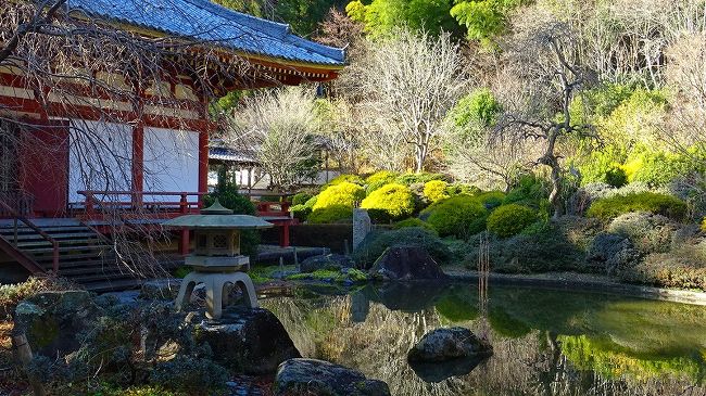 上巻からの続きです。<br /><br />写真は、本堂とその裏手に広がる虚空園の風景と、奥に咲く蝋梅の花。