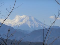 み～んな大好き高尾山