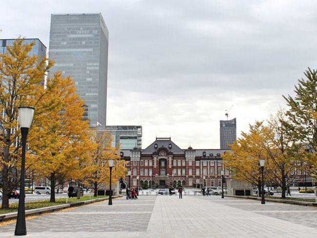 国内旅行はどこが好き?と聞かれれば、迷わず東京!!と答える我が家。<br />世界中の美味しいものが頂けるし、世界中の芸術作品に触れ合える。<br />ショッピングはもちろんのこと、ホテルステイも満喫♪<br />とにかく、何でも揃っていて、何でもしたいことができる街。<br />いつも、感動とワクワク、ドキドキ、トキメキを与えてくれる街。<br /><br />そんな大好きな東京に昨年は12月になってやっと……2年ぶりに訪れることができました。<br />今年のテーマは心の充足。<br /><br />1日目、飛行機での東京入りは初めて♪<br />一旦、荷物をホテルに預けた後は、東京の煌めきを思う存分体感し、<br />芸術やグルメも堪能~~。<br />結局、夜の22時にホテルに戻ってチェックイン!!<br />せっかく、夜景の美しい広いお部屋に泊まるんだから、もう少しゆっくりしたかった、、、というのが本音だけれど、楽しい街、東京ではしたいこともたくさんあるので仕方ないわねっ。<br /><br />翌日は、東京に行くと必ず買って食べるという、エシレの限定10個のガトーエシレを買いに朝から向かったのに、、、、<br />なんと、初めての撃沈、限定10個に入れなかったぁ~<br />今まで、9時~9時半に並ぶと絶対に買えたのに、、、、<br />前回は、10時前に来た人でも買えたのに、なに~~!!!今でもこの人気ぶり。<br />落胆した気持ちを抱えつつ、上野の東京都美術館で開催中のムンク展を楽しんできました。<br />昨日に引き続き、今日も芸術堪能~♪<br />やっぱり、東京は素晴らしい作品展がいっぱいあるのが羨ましいなぁ。<br /><br />2泊目は、インターコンチネンタル東京ベイに移動するので、ゆっくりとレイトチェックアウトで過ごした後、ホテルを移動!!<br />東京ベイは、クラブラウンジがあるので、チェックイン後はひきこもりになってしまった(笑)<br />東京のベイ夜景★とっても美しかったです♪<br /><br /><br />ストリングスホテル東京インターコンチネンタル https://intercontinental-strings.jp/index.php<br />エシレ https://www.kataoka.com/echire/<br />東京都美術館 https://www.tobikan.jp/<br />ムンク展ー共鳴する魂の叫び https://www.tobikan.jp/exhibition/2018_munch.html<br />ホテルインターコンチネンタル東京ベイ https://www.interconti-tokyo.com/