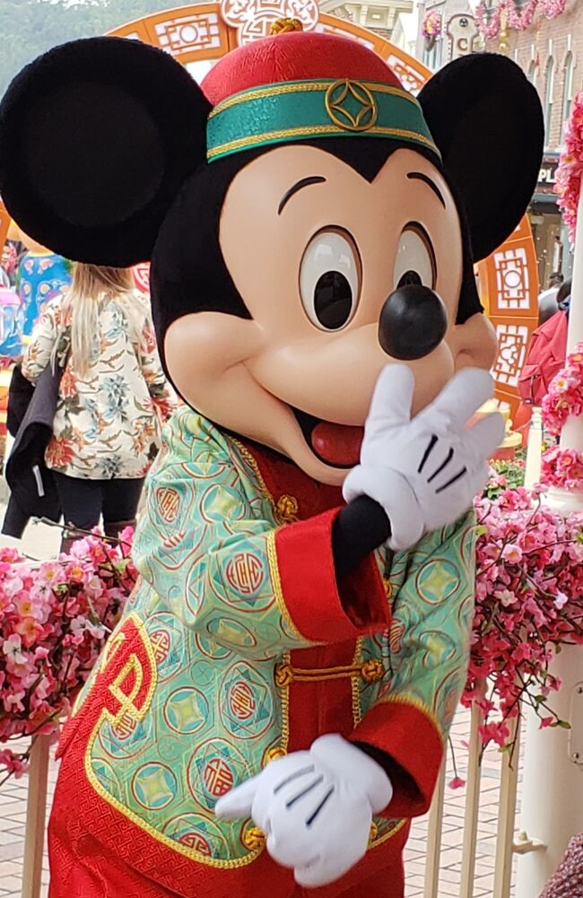 これまでで最高のディズニー シニア 優先 最高の壁紙コレクション