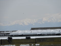 ２０１９年１月 北海道道東 その１ 網走・川湯温泉