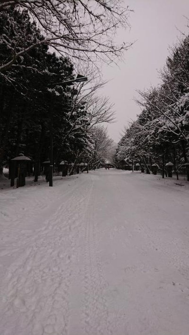 冬の北海道旅行も３日目。<br />この日は札幌市内を観光しました。