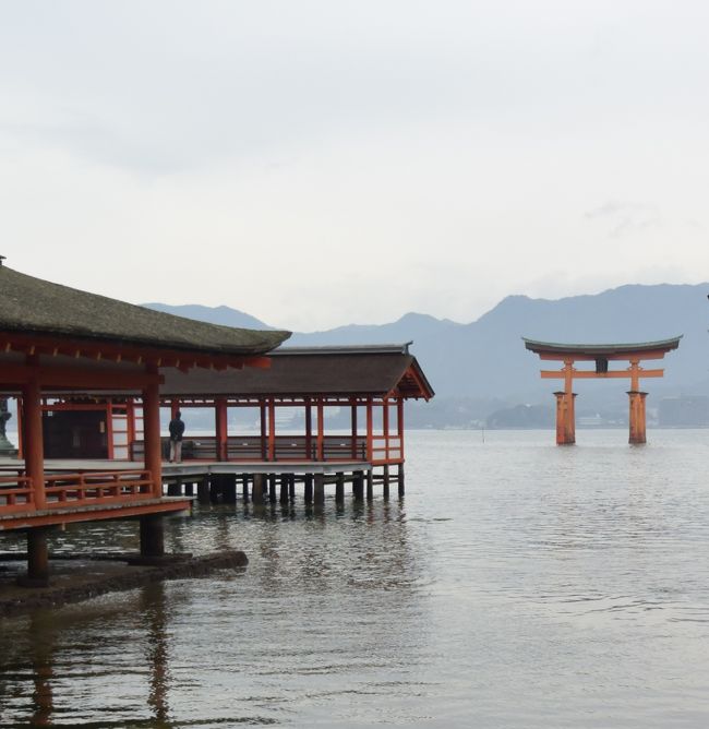３日目はいよいよ世界遺産　安芸の宮島・厳島神社と津和野の観光です