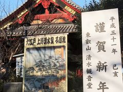 上野-2　上野恩賜公園  寛永寺清水観音堂-初詣-　☆2019年新春・有名でない名所を訪ねて