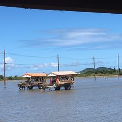 台湾+沖縄離島の旅‐8