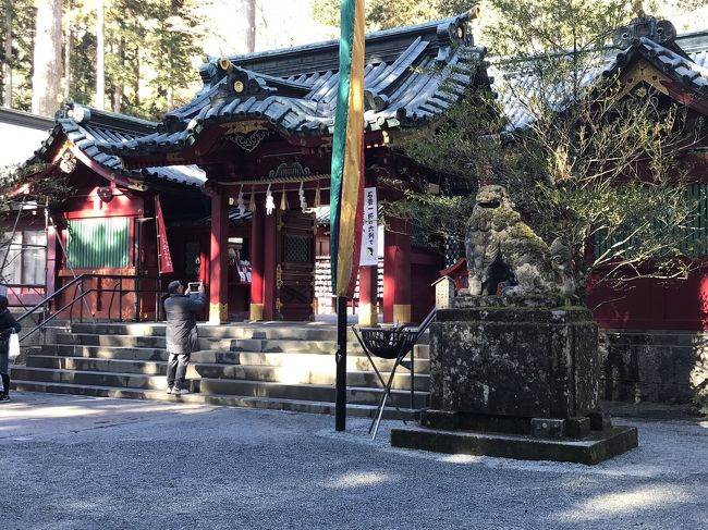 突然思い立って箱根神社に行ってきました。<br /><br />2月からお仕事を始めるにあたって神様からのアドバイスが何かしら頂けたらと思いまして、参拝しました。<br />さすが、箱根観光地だけあって平日にも関わらず人は沢山来ていました。特に中国人が沢山来ていていましたよ。<br /><br />主人は、神社に関しては特に敏感な人で相性の良いところとそうでもない所があるようで、箱根神社はとても清々しいと申してました。<br /><br />鳥居をくぐって少し歩いたところ、境目があるようですが、そこからは空気が変わったと言ってまして、フワフワと浮いてるようだったようです。<br /><br />やはり箱根神社はかなりなパワーのある神社のようです。<br /><br />私は、参拝中手を合わせている時には、手が電気が走ってるようにピリピリと凄かったですよ。<br /><br />おみくじを引いて、龍神様からの助言を頂きました。<br /><br />まさしく、これからお仕事を始めるかに当たって今悩んでる事がそのままズバリ私と主人が神社に行く途中に、議論していたその事に対しての回答がピッタリ助言されていました。<br /><br />神様からの核心を突く納得の回答でしたので、主人と2人笑ってしまいました。<br /><br />さすが、箱根神社の神様は凄いな！と思いました。<br /><br />帰りはお蕎麦を食べて帰ってきました。<br /><br />次回は箱根の温泉に行こうと思います！