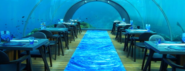 ラヴィヤニ環礁 旅行 クチコミガイド フォートラベル モルディブ Laviyani Atoll