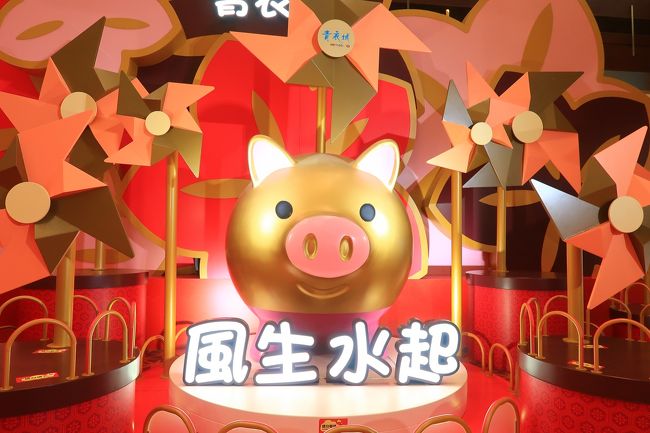 クリニックの帰りに、荃灣ぶらぶら。<br />そしたらちょうど青衣行きのバスが<br />来たので、飛び乗って青衣へ。<br /><br />長安邨で下車して、海濱公園を歩いて<br />青衣城の旧正月デコレーションを見て<br />帰りはMTRで荃灣に戻ってきました。<br /><br />この日のお散歩歩数:12,241歩<br />