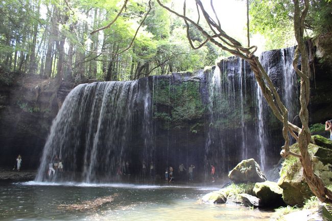 九州へ旅するお友達と合流し、一緒に熊本阿蘇山へ。出発の福岡でレンタカーを借り、女子3人で日帰りドライブ旅をしました。小国の滝で癒され、大観峰で雄大な自然を見て、阿蘇神社で参拝し、再び福岡へ。最後は博多名物もつ鍋で打ち上げしました。<br />阿蘇ドライブコースの参考になれば幸いです。
