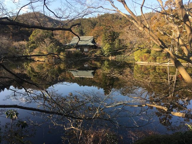 冬の京都堪能!<br />人もそんなにいなくてよいけど、景観は寂しい