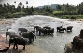 スリランカ世界遺産の旅（前半）ゴール～キャンディ