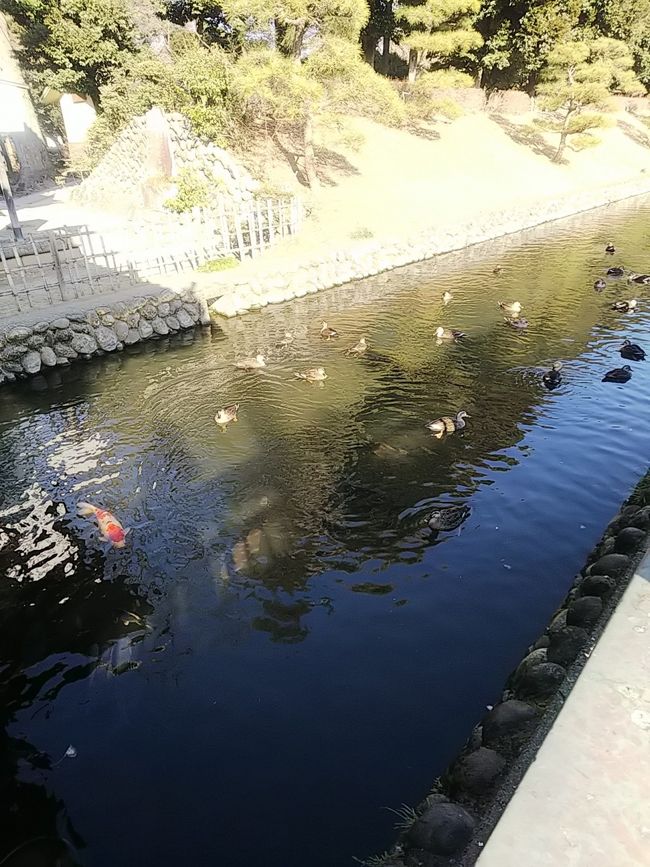 観光バス。