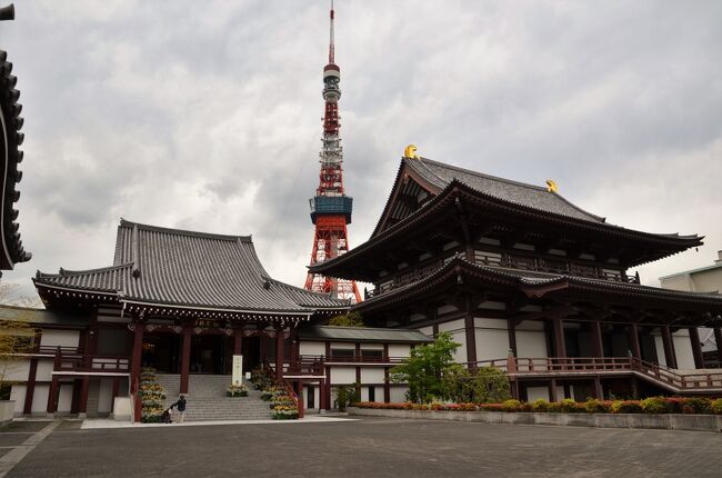 17世紀中頃の増上寺は、広大な寺有地に120以上の堂宇、100軒を越える学寮が甍ぶきの屋根を並べる、とても大きな寺でした。<br />しかし、大戦によりほとんどの施設は火災のため焼失してしまいました。<br />増上寺境内は東京プリンスホテル、東京タワーの一部、芝公園が含まれた大きな歴史のある寺院です。<br />４トラのクチコミには増上寺の施設の多くがスポットとして登録されていますが殆どの地図の場所が誤っているのが残念です。<br /><br />