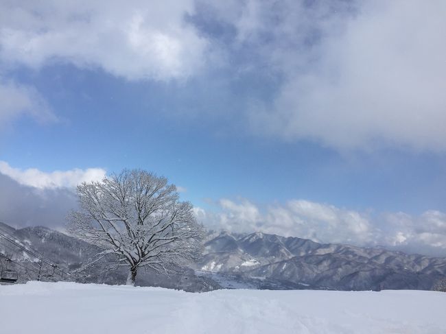 先週の八方尾根にて、にぃにがSAJジュニア2級を取得したことで、弟のかーぽんも発奮。<br />またスキーに行きたいと言い出し、それににぃにも便乗して二人で連呼。<br />お前ら、スキーの前にいろいろすることあるだろ!