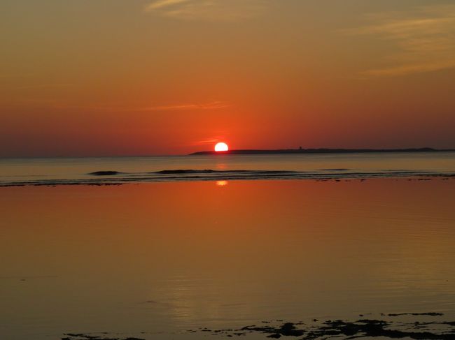 11月14日：関空からピーチにて、石垣島10時20分着。午後から竹富島。<br />11月15日：黒島に終日。<br />11月16日：黒島から石垣島の白保に移動。午後シュノーケリング。<br />11月17日：石垣空港11時発のピーチで関空に<br /><br />十数年ぶりの石垣島でした。<br />11月にどこで何をするか、あれこれ検討した末のスケジュールです．雨が降ったらとか、悪天候でフェリーが欠航したらとか、いろんなパターンで心配したのですが、最終日以外はまずまずの晴天でラッキーでした。