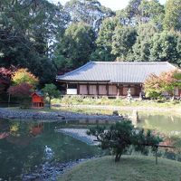 湖東・湖南・高野山・南山城 の寺社を巡る旅 №７（９-10日目・南山城）