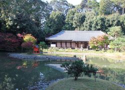 湖東・湖南・高野山・南山城 の寺社を巡る旅 №７（９-10日目・南山城）