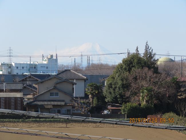 1月24日、午前9時50分過ぎにふじみ野市より富士山が見られました。<br /><br /><br /><br />＊写真はふじみ野市より見られた富士山