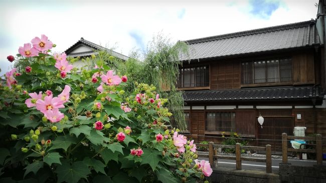 珍しく関東で泊まってしまいました。<br /><br />→お宿 木の下(木の下旅館)千葉県香取市佐原イ498<br /><br />旅…館……?<br />民宿とも言えないレベルなのですが……<br /><br />せっかくのお盆休み、「特に仲良くない親戚の家」とかの方がよっぽど快適でしたね。<br />思い出したくもないので写真は省きます。<br /><br />当時「NIPPONIA」がオープンしてれば絶対そっちに泊まったな。<br />やっぱり関東は日帰りするべきところですね!