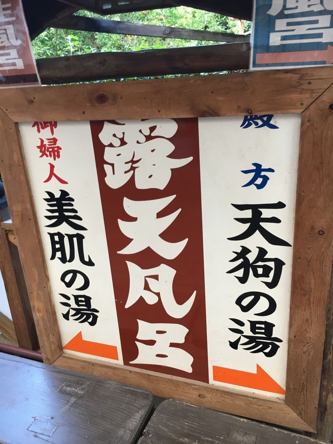 本厚木から七沢温泉へ行き、人気の淡麗ラーメンを食べたり<br />渓流沿いなど自然の中を歩き巨石などをみてから温泉へ<br />phの高い美肌の露天風呂に入りました。