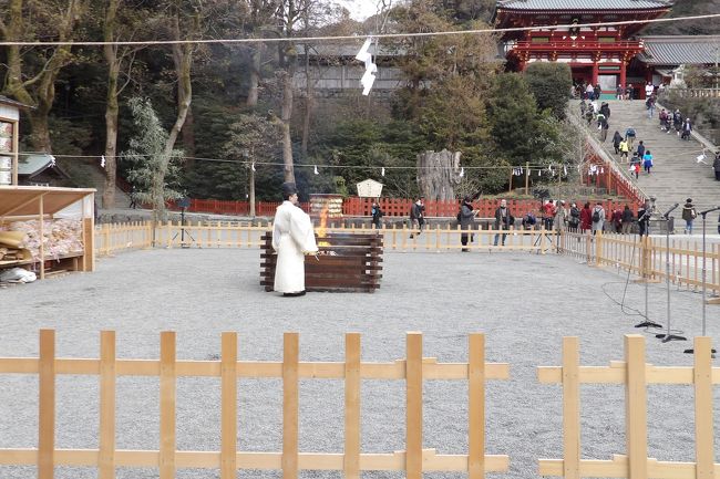 　鎌倉に鎮座する鶴岡八幡宮の大祓（https://4travel.jp/travelogue/11328840）は毎年6月30日と12月31日の年2回行われている。そういえば、何年か前にも節分が間近かな1月下旬に厄除祈願が行われていた場に出会ったことがある。これは、今年（2019年）も1月25日～31日には鶴岡厄除大祭と称して厄除祈願が行われている。<br />　境内には多くの巫女さんや神職が出ている。<br />　舞殿にも多くの人が登壇してお祓いを受けている。<br />　流鏑馬馬場の両入口には「境内につき犬（ペット）等を連れての参拝はご遠慮下さい。」の看板が立てられているが、それを無視して犬を連れた人を何人も八幡宮境内で見掛けたことは残念なことだ。<br />（表紙写真は厄除大祈願斎行場）