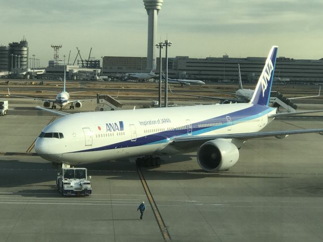 2019年1月10日、NH110（HND→JFK）搭乗記　～久しぶりの長距離ビジネス、行きはワクワク♪～