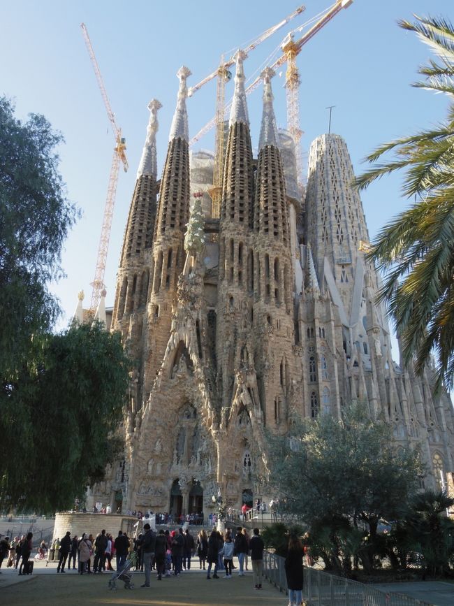 ツアーは使わずに、行きたいところだけを回ったスペイン、ポルトガル旅行！サグラダファミリア、グエル公園、FCバルセロナ試合観戦、トレド、バル巡り、リスボン観光…とやりたいことを詰め込みました＊<br /><br />1日目 バルセロナ着<br />2日目 バルセロナ<br />3日目 バルセロナ★<br />4日目 バルセロナ→マドリード→トレドパラドール1泊<br />5日目 トレド→マドリード1泊<br />6日目 マドリード→リスボン<br />7日目 リスボン<br />8日目 リスボン<br />9日目 リスボン発 帰国<br /><br />バルセロナ3日目。待ちに待ったサグラダファミリアとグエル公園！この2つの予約は旅行の1週間前くらい。夏の繁忙期ならもっと早く予約すべきかな？私は天気が心配で（雨だとサグラダファミリアは登れない）ギリギリまで天気予報を確認し、予約しました！！！あー楽しみ！