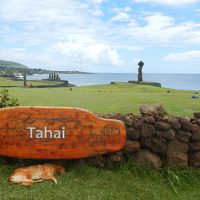 チリ・イースター島5泊9日②イースター島（プナ・パウ、アフ・アキビ、タハイ儀式村）