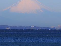 鋸南-2　保田海岸　= 富 士 山 =　東京湾越しに遠望でき　☆アロエ花咲く浜から三浦半島も