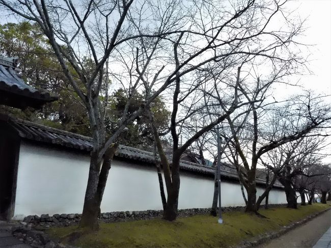 　新春京都三社詣でと醍醐寺のツアー最後は桜の名所醍醐寺にい行きました。<br />サクラ並木は芽の状態で春の訪れを待っていました。<br /><br />　参拝後はフェリーで帰りました。