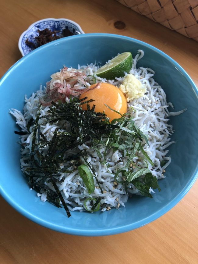 5月に行った時、漁が始まったばかりで食べれなかったしらす丼のリベンジ…実はやってました~!食べ物への執着がスゴイ。怖い。<br />怖がられたらアカン…と思って旅行記公開してなかったけど、せっかくなので出してみます(*´▽`*)<br />淡路島、行くとこいっぱいあって楽しいですよ♪
