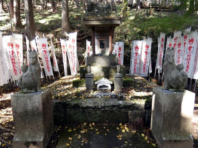 今年の秋は夏の暑さを引きずるような感じで暖かでしたが、ここ数日はぐっと冷え込み一気に冬に突入した感じです。<br /><br />そこで、箱根の紅葉が進んだのではないかと思い、箱根の紅葉の様子を見に行きます。<br />