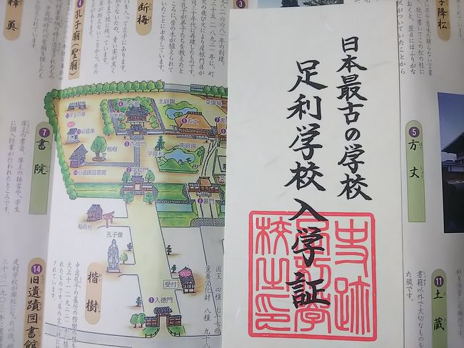 観光バス