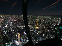 感動！ヘリから眺める東京の夜景