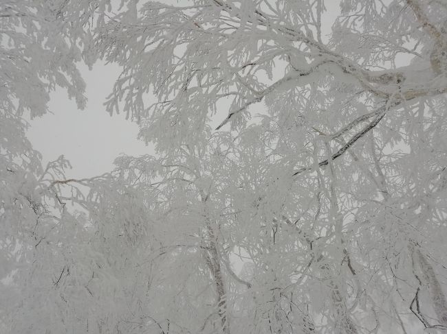 モフモフの雪を求めて、冬の北海道へ！<br />今回はしろくまツアーで2泊3日(航空券・ホテル・送迎バス・朝食・リフト券付き) <br />割引クーポンを使って、一人29,060円！<br /><br />規模が大きいルスツなので、観光なしのスキーオンリー旅行です。<br />あいにくお天気は良くありませんでしたが、北海道の広～いゲレンデを気持ち良く滑ってまいりました！！<br /><br />寒すぎてゲレンデの写真をあまり撮らなかったので、昨年撮った写真を交えてお送りします。<br /><br />2日目 : ルスツリゾート(ウェスティン大浴場&amp;風花&amp;マッサージ・イゾラ&amp;イーストMtゲレンデ)・わかさいも本舗 イーストヴィレッジ編です。<br /><br /><br />1日目 : 新千歳空港(KINOTOYA・美食千歳)・きのこ王国・ルスツリゾート(別館トラベルロッジ宿泊)・たんぽぽ食堂編はこちらです↓<br />https://4travel.jp/travelogue/11450743<br /><br />3日目 : ルスツリゾート(ウエストMtゲレンデ)・新千歳空港(北海道ラーメン道場 札幌飛燕)編はこちらです↓<br />https://4travel.jp/travelogue/11451201