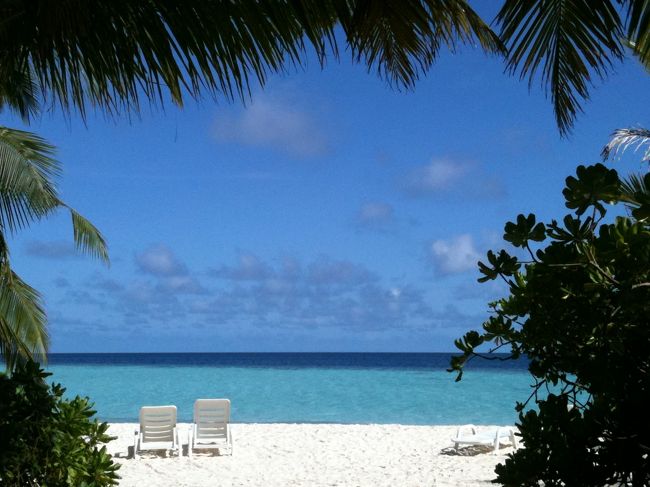 2011年の夏、10歳の息子と家族3人で海を満喫して来ました。2000年にBathala Island Resortにダンナと2人で行って以来、2度目のモルディブです。<br /><br />航空券は格安チケット予約サイトで手配。ホテルはAgodaで予約、3人でビーチバンガロー8泊フルボード、Speed Boat代込みで2,699.40USDでした。<br /><br />今回はダイビングもする予定で出費もかさむのでいつにもまして“リーズナブルで、歩いて1周できる小さな島で、魚がいっぱい見れてぐるっと1周シュノーケル出来て、へっぽこダイバーの私のため日本人インストラクターのいるリゾート”というなかなか難しい希望にピッタリだったのが、ここBiyadhoo Island Resortでした。<br /><br />設備はビックリするほどのシンプルさ。豪華でキレイでお洒落な雰囲気やお料理を期待する方やハネムーナーの方には不向きかも知れませんが、ただキレイな海と魚を満喫したい私たちにはとても良心的なリゾートでした。<br /><br />当時防水カメラを持っておらず、水中の写真はホテルの売店で買った“写ルンです”。なにを撮ったか分からない、意味不明な写真のオンパレード、どうもすみません・・。&lt;(_ _)&gt;