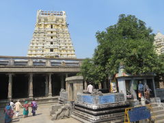 インド　「行った所・見た所」　カーンチープラムのエーカンバラナータル寺院観光