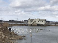 仙台　里帰り旅行