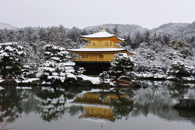 『明日、京都雪らしいよ～』という夫の一言が頭から離れず、<br />前日から金閣寺のライブカメラをチェックしていました。<br />結局その日の金閣寺のカメラに雪景色は映らず20:00で映像は終了。<br />ところが、市内某所のとっても映りの良いライブカメラを夜中に見た所バッチリ雪が積もっていました。<br />これは千載一遇のチャンス♪行かなければ！と夜中からワクワクしながら準備を始めましたが翌朝寝坊。<br />夫に叩き起こされるも彼の出勤の車には便乗できず、歩いて最寄り駅に向かいました。<br />阪急西院駅で降り、そこからタクシーで金閣寺へ移動。<br />無事表紙の写真撮影に成功しました(^^)v