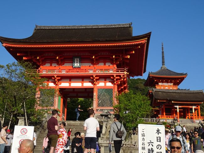 京都の世界遺産を巡る旅３年目　<br />今年は５か所の世界遺産を目指しますが、過去に行ったことのある寺院もあります<br />世界遺産の案内看板の写真を撮る目的です（笑）<br /><br />メインは比叡山延暦寺で一日かける予定です<br />到着日は行ったことのない鞍馬寺・貴船神社に向かいます<br /><br />１９日（木）　ＡＮＡ　新千歳空港8：25発→伊丹空港10：20着<br />いつものように着いたらすぐに降りれるように座席は通路側に座ります<br />荷物は機内持込<br /><br />鞍馬寺から貴船神社そして世界遺産清水寺へ